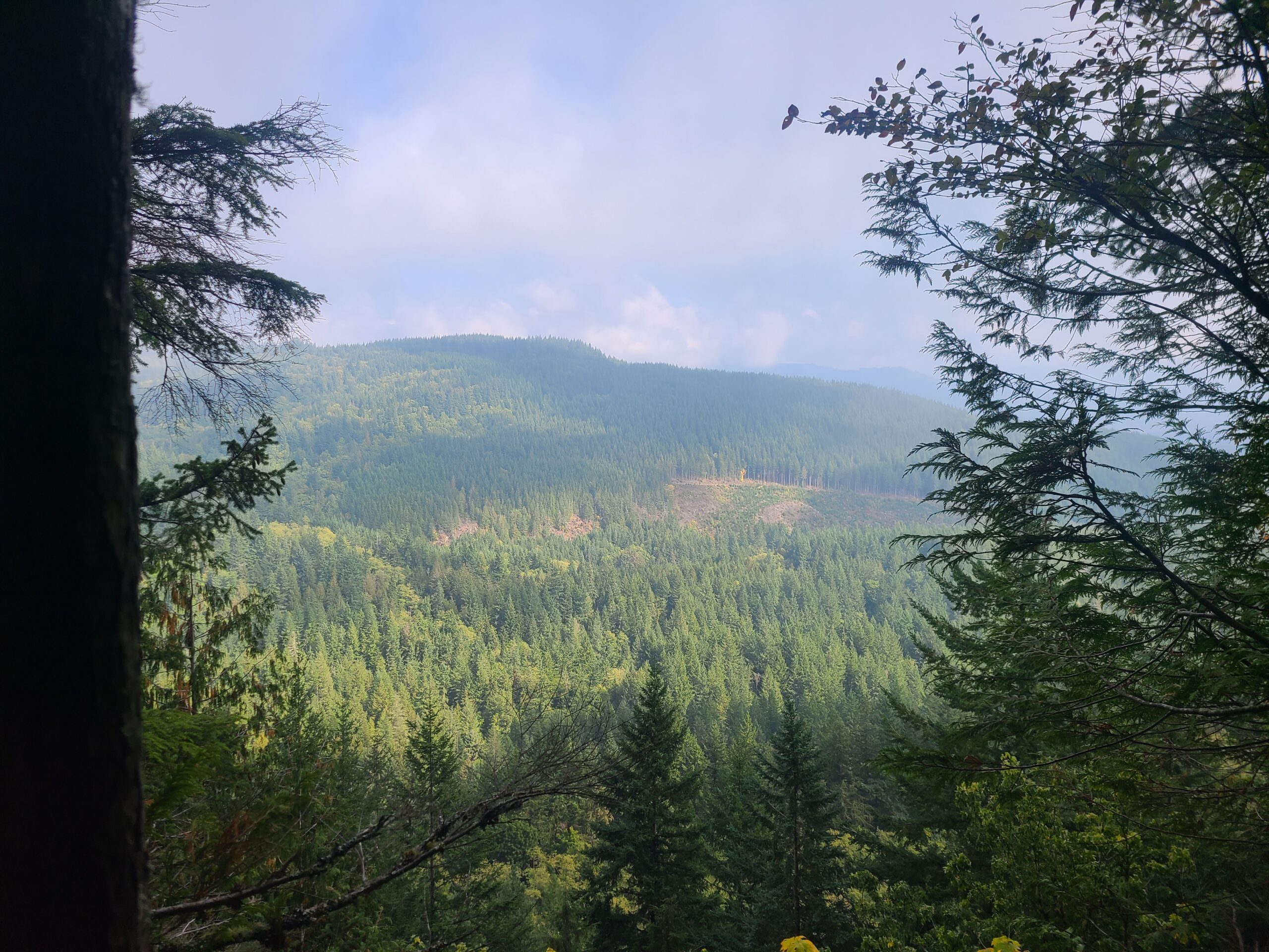 Larrabee Lakes Evergreen Trail Runs